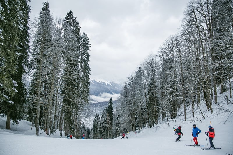 Ski Resort